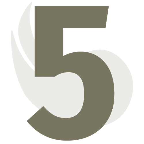 5